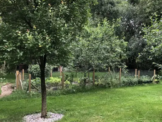 De prachtige tuin bij Appartement Steffensreed De prachtige tuin bij Appartement Steffensreed