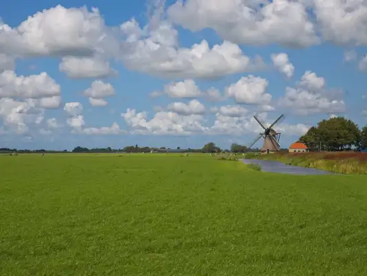 Weiland met vergezichten in Friesland Weiland met vergezichten in Friesland