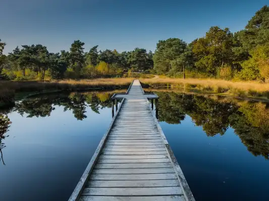 Mooie natuur tref je in Limburg Mooie natuur tref je in Limburg